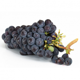 Грожђе grozdje(1).jpg 